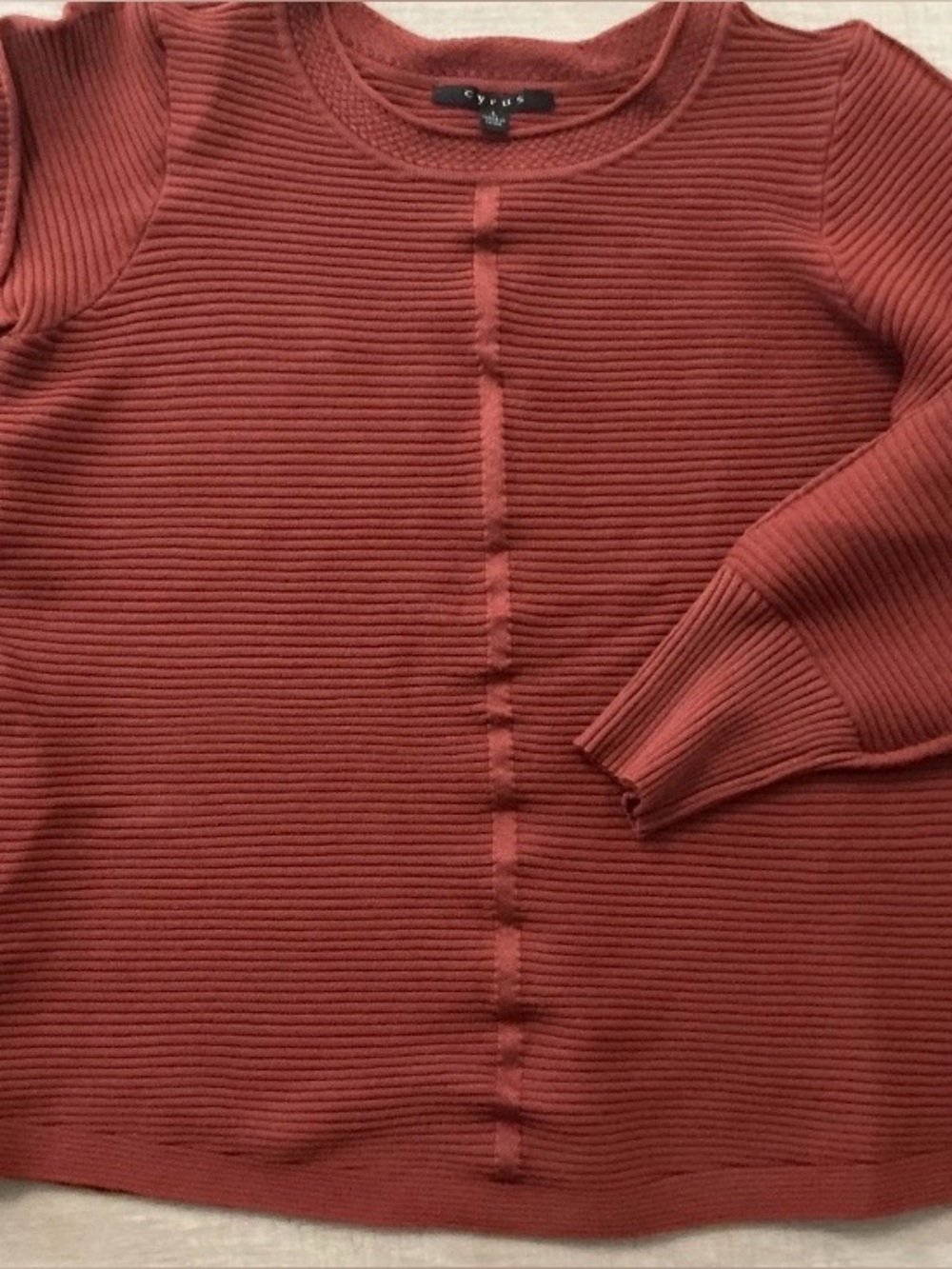 Cyrus Women's Ribbed Crewneck Sweater in Rust